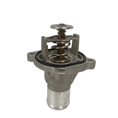 Termostat air penyejuk 24435102